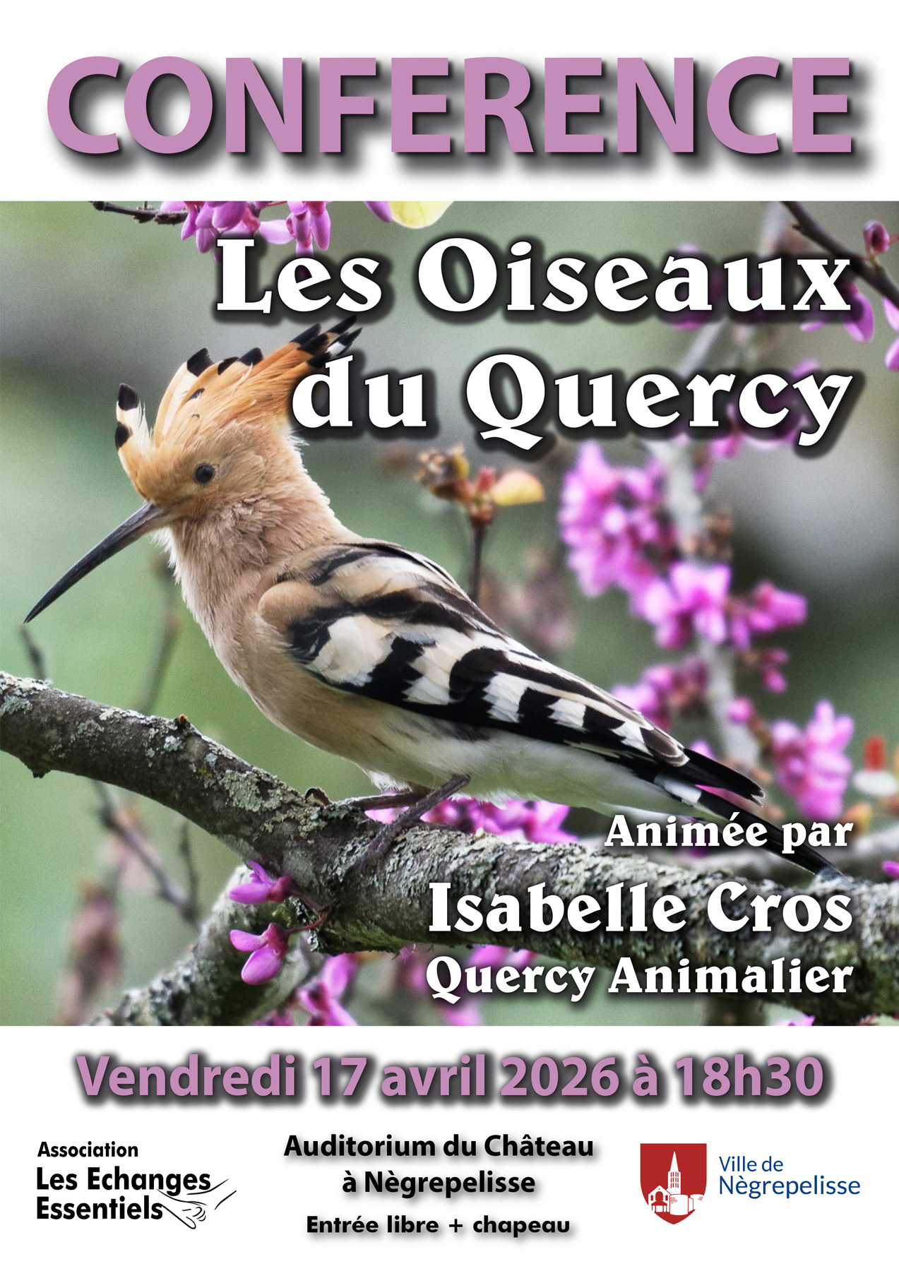 Association Les Liens